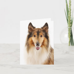 Tarjeta de nota en blanco de cachorro de Collie ás
