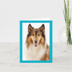 Tarjeta de nota en blanco de cachorro de Collie ás
