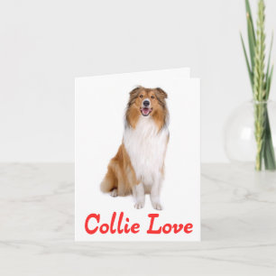 Tarjeta de nota en blanco de cachorro de Collie ma