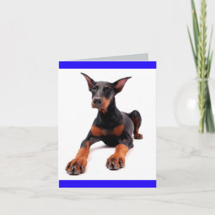 Tarjeta de nota en blanco de cachorro de Doberman 