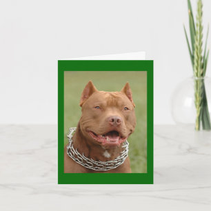 Tarjeta de nota en blanco de cachorro de Pitbull