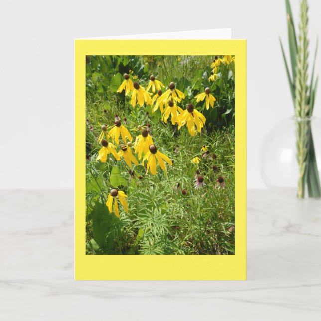 Tarjeta de nota en blanco de Coneflower II (Anverso)