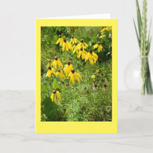 Tarjeta de nota en blanco de Coneflower II