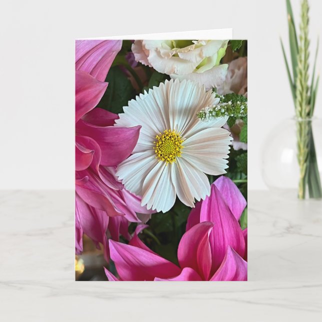 Tarjeta de nota en blanco de Cosmos de Verano (Anverso)