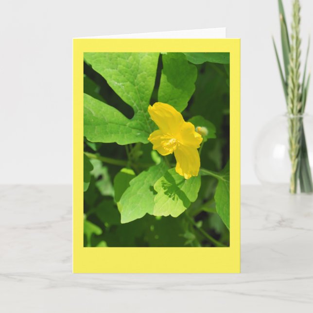 Tarjeta de nota en blanco de disquete Celandine (Anverso)