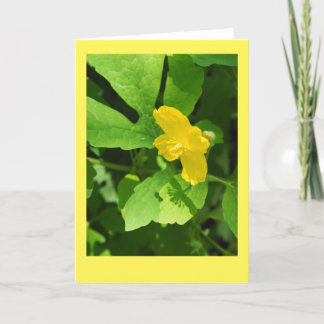 Tarjeta de nota en blanco de disquete Celandine