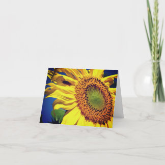 Tarjeta De Nota En Blanco De Flor De Sol Y Flor De