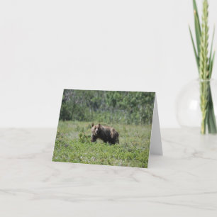 Tarjeta de nota en blanco de foto de oso