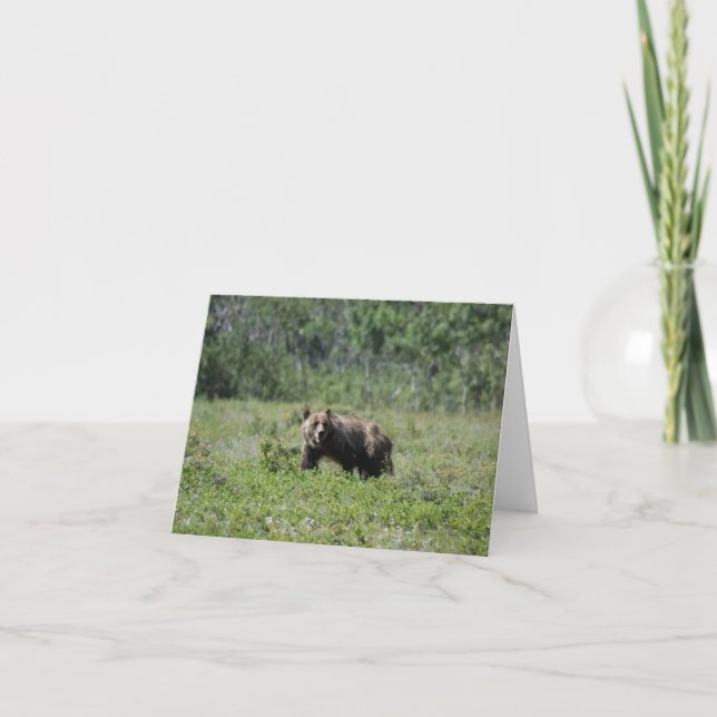 Tarjeta de nota en blanco de foto de oso (Anverso)
