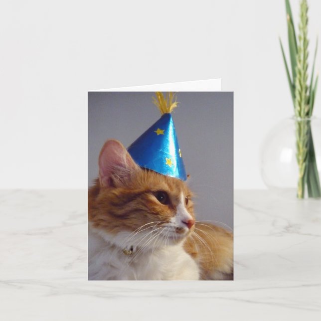 Tarjeta de nota en blanco de gato con sombrero de  (Anverso)