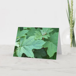 Tarjeta de nota en blanco de Hortensia de hoja de 