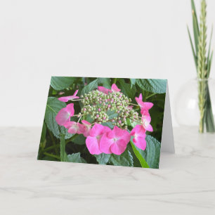 Tarjeta de nota en blanco de Hortensia florecida