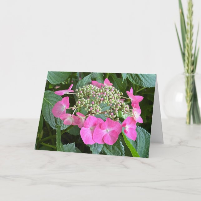 Tarjeta de nota en blanco de Hortensia florecida (Anverso)