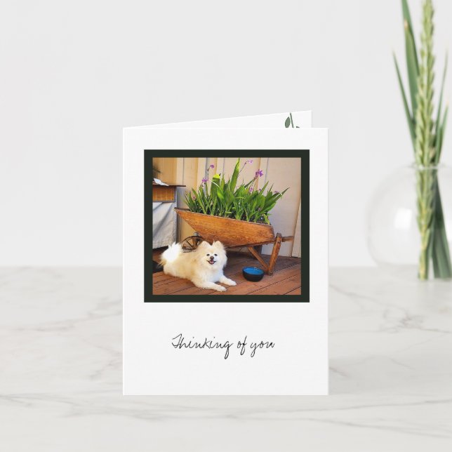 Tarjeta de nota en blanco de la colección Cosmo (Anverso)