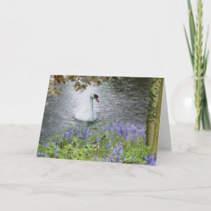 Tarjeta De Nota En Blanco De La Madera Y La Blosso