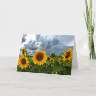 Tarjeta de nota en blanco de la tormenta de giraso