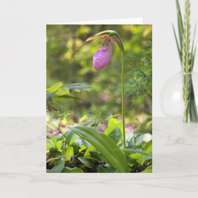 Tarjeta de nota en blanco de Lady Slipper (Anverso)
