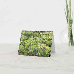 Tarjeta De Nota En Blanco De Las Flores Y Los Cabe