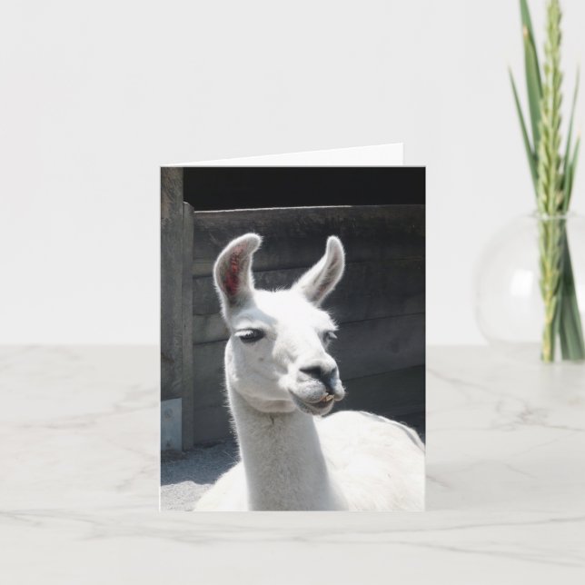 Tarjeta de nota en blanco de llama sonriente (Anverso)