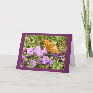 Tarjeta de nota en blanco de mariposa sobre la plu