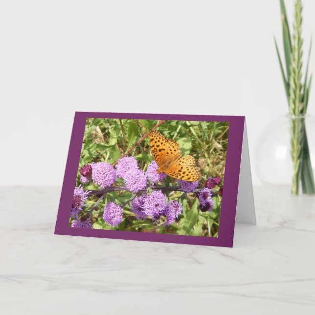Tarjeta de nota en blanco de mariposa sobre la plu (Anverso)