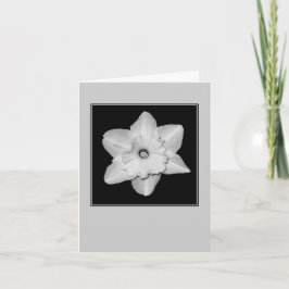 Tarjeta de nota en blanco de narciso en primer pla
