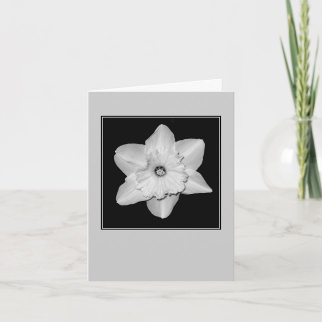 Tarjeta de nota en blanco de narciso en primer pla (Anverso)