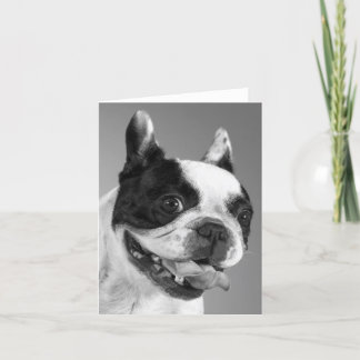 Tarjeta de nota en blanco de perro de cachorro de