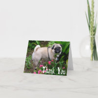 Tarjeta de nota en blanco de perro pug cachorro Gr