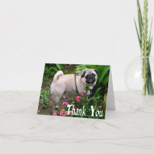 Tarjeta de nota en blanco de perro pug cachorro Gr