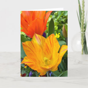 Tarjeta de nota en blanco de tulipanes brillantes