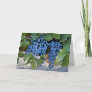 Tarjeta de nota en blanco de uvas