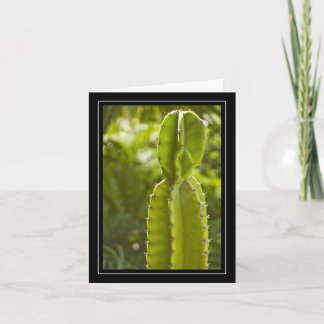 Tarjeta de nota en blanco del cactus