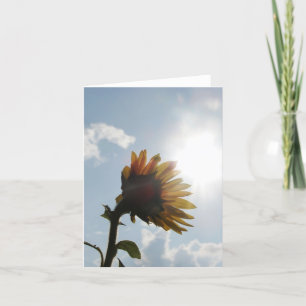 Tarjeta de nota en blanco del girasol