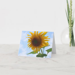 Tarjeta de nota en blanco del girasol