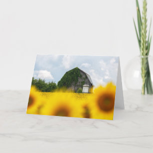 Tarjeta de nota en blanco del granero de girasoles