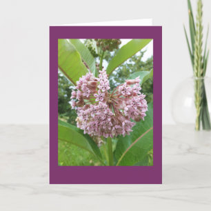 Tarjeta de nota en blanco del Milkweed