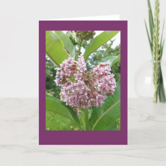 Tarjeta de nota en blanco del Milkweed