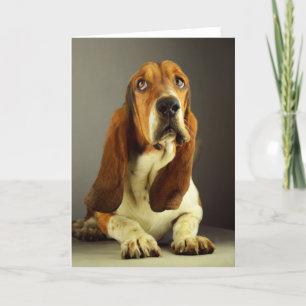 Tarjeta de nota en blanco del perro cachorro con c