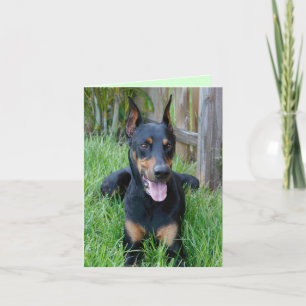 Tarjeta de nota en blanco del perro cachorro Dober