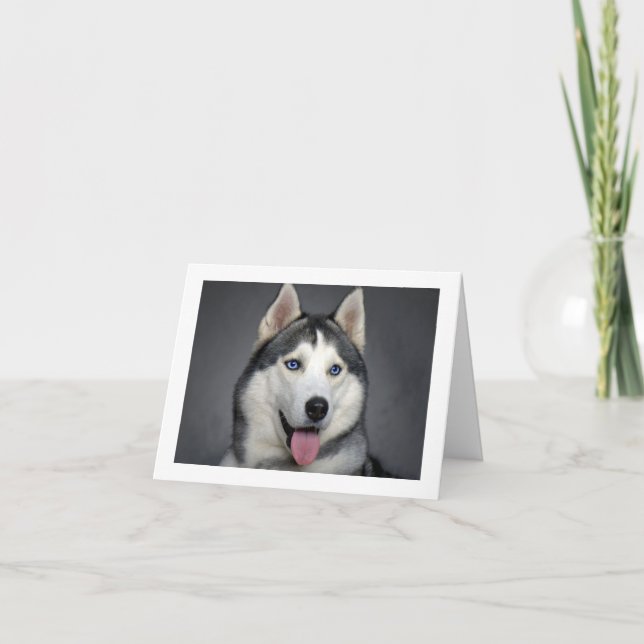 Tarjeta de nota en blanco del perro del Husky pimi (Anverso)