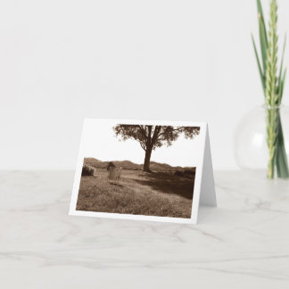 Tarjeta de nota en blanco del tambor blanco Tom de