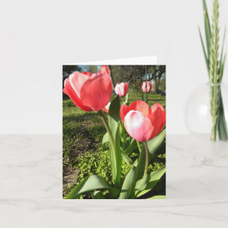 TARJETA DE NOTA EN BLANCO DEL TULIPÁN
