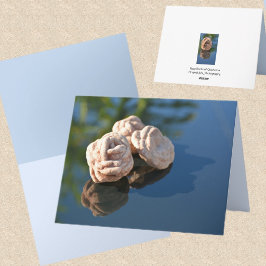 Tarjeta de nota en blanco fotográfica de Rosas de 