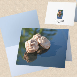Tarjeta de nota en blanco fotográfica de Rosas de