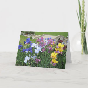 tarjeta de nota en blanco grande de iris brook