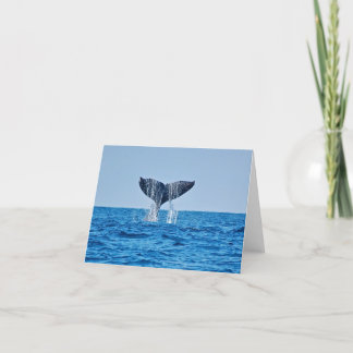 Tarjeta de nota en blanco para ballenas