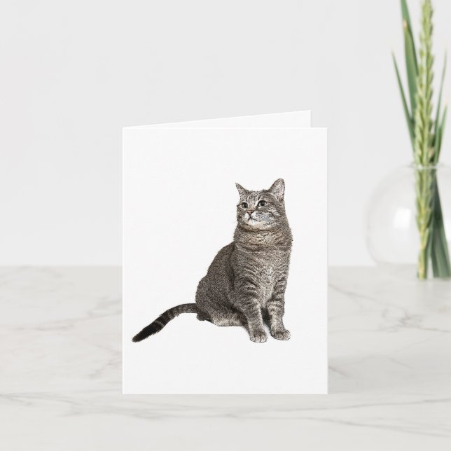 Tarjeta de nota en blanco para el gato abisino (Anverso)