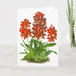 Tarjeta de nota en blanco para flor de orquídea ro
