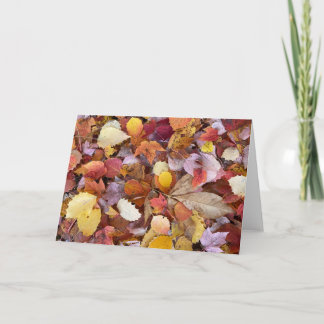 Tarjeta de nota en blanco para hojas de otoño